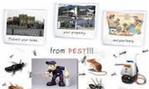 Relax Pest Management Solutions - Pest Control in Dwaraka Nagar, Visakhapatnam