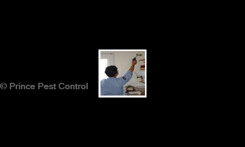 Prince Pest Control - Pest Control in Maninagar, Ahmedabad
