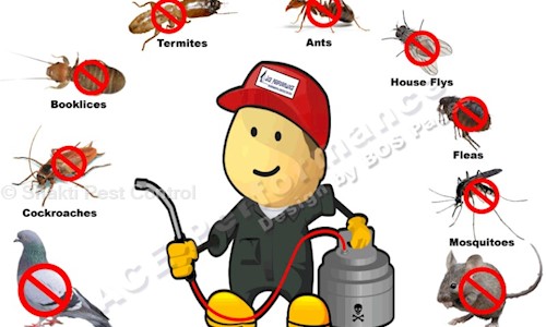 Shakti Pest Control - Pest Control in Mukherjee Nagar, Delhi