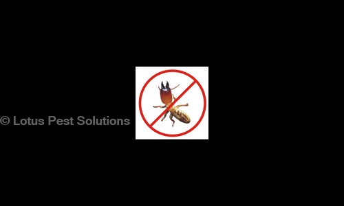 Lotus Pest Solutions - Pest Control in Andheri East, Mumbai