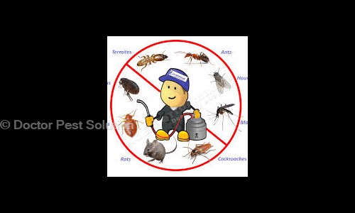 Doctor Pest Solutions - Pest Control in Sector 37C, Chandigarh