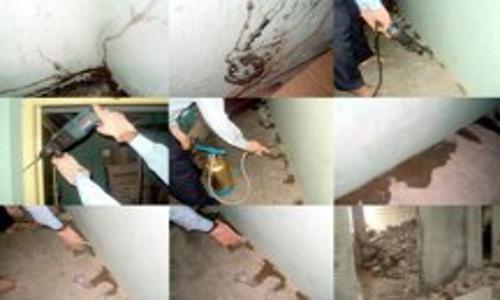 Mumbai Pest Control - Pest Control in Natham Road, Madurai