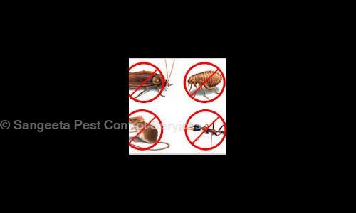 Sangeeta Pest Control Services - Pest Control in Model Town, Delhi