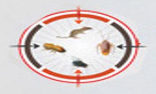 My Raksha - Pest Control in Indira Nagar, Bangalore