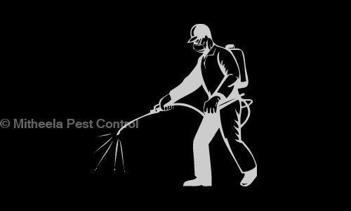 Mitheela Pest Control - Pest Control in South Tukoganj, Indore