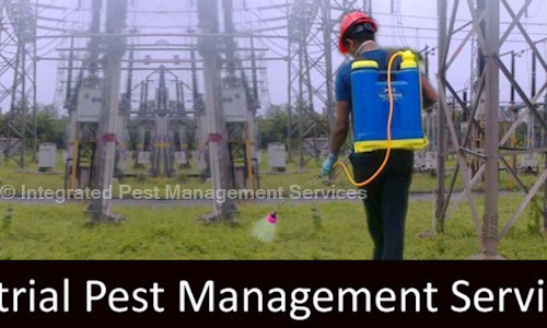 Integrated Pest Management Services - Pest Control in Maninagar, Ahmedabad