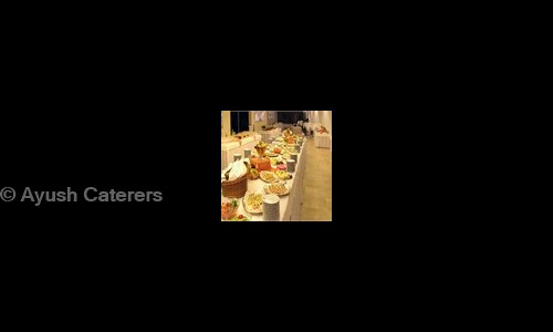 Ayush Caterers - Catering Services in Dhankawadi, Pune