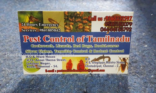 Pest Control of Tamil Nadu - Pest Control in Chintadripet, Chennai