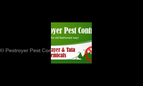 Pestroyer Pest Control - Pest Control in Gomti Nagar, Lucknow