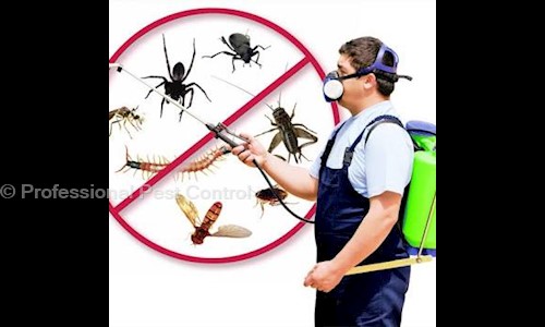 Professional Pest Control inc - Pest Control in Tirumala Bypass Road, Tirupati