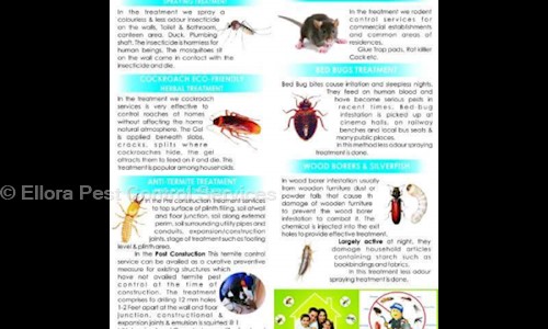 Ellora Pest Control Services - Pest Control in CIDCO, Aurangabad