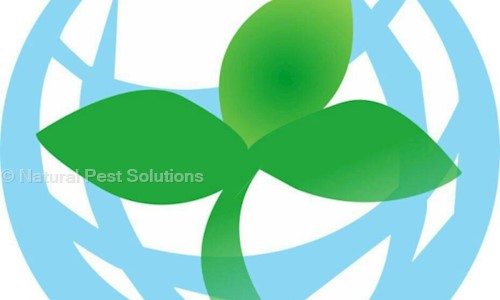 Natural Pest Solutions - Pest Control in Dahisar East, Mumbai