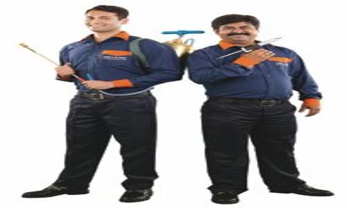 HiCare - Pest Control in Chandra Layout, Bangalore