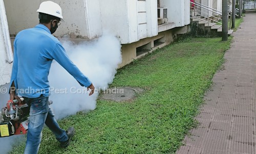 Pradhan Pest Control India - Pest Control in Khandagiri, Bhubaneswar