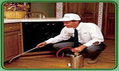 Max Pest Control Services - Pest Control in Rajaji Nagar, Bangalore