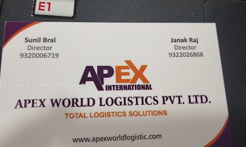 Apex International - Packers and Movers in Kalbadevi, mumbai