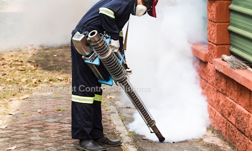 Millennium Pest Control Solutions - Pest Control in West Marredpally, Hyderabad