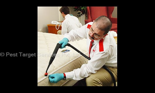 Pest Target Services Pvt. Ltd. - Pest Control in Koramangala, Bangalore