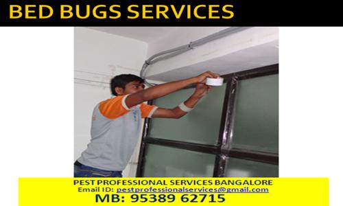 Pest Professional Services Pest Control - Pest Control in Chamrajpet, Bangalore