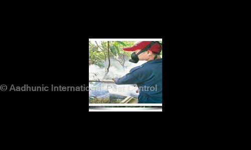 Aadhunic International Pest Control - Pest Control in South Extension Part I, Delhi