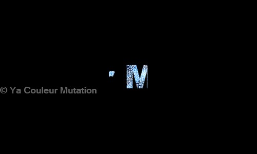 Ya Couleur Mutation - Job Training in Madangir, Delhi