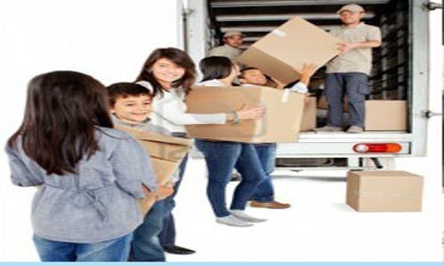Vertex Packers And Movers - Packers and Movers in Ayodhya Bypass, Bhopal