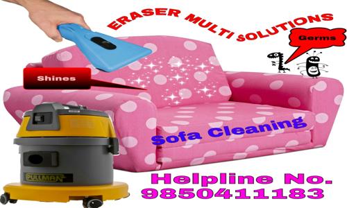 Eraser Multi Services - Pest Control in Swargate, Pune