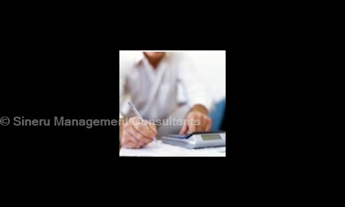 Sineru Management Consultants - School Tuitions in Velachery, Chennai