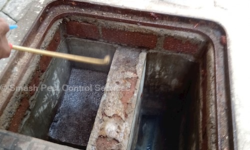 Smash Pest Control Services - Pest Control in Lakshmi Nagar, Coimbatore