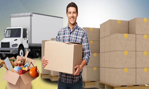 Deen Dayal Packers & Logistics - Packers and Movers in Ramkrishan Nagar, Patna