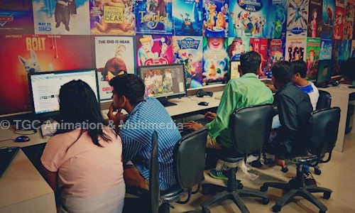 TGC Animation & Multimedia - Job Training in Malviya Nagar, Jaipur