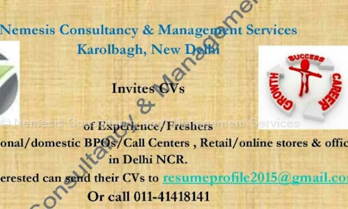 Nemesis Consultancy and  Management Services - Placement Consultancies in Wazirpur, Delhi