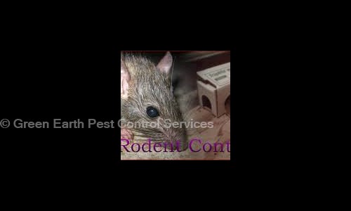 Green Earth Pest Control Services - Pest Control in Raipur (O.F.), Dehradun