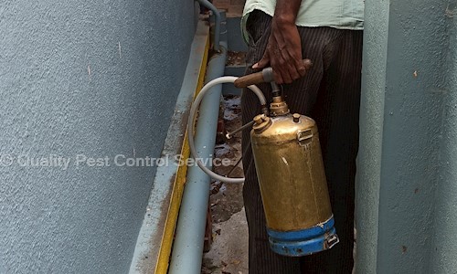 Quality Pest Control Service - Pest Control in Alagappan Nagar, Madurai