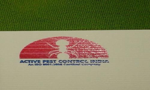 Active Pest Control India - Pest Control in DLF Phase 2, Gurgaon