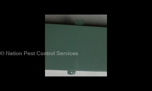 Nation Pest Control Services - Pest Control in Shaniwar Peth, Pune
