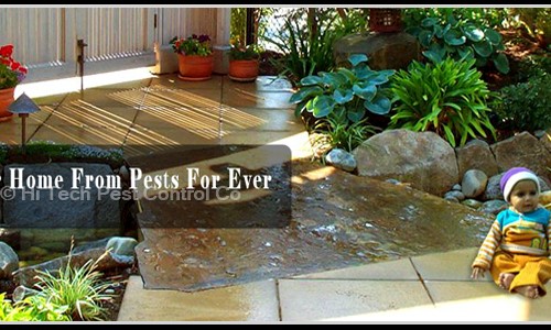Hi Tech Pest Control Co. - Pest Control in Dilshad Garden, Delhi