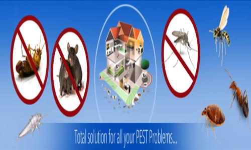 PC & CS  Pest Control & Cleaning Services - Pest Control in Punalur, Kollam