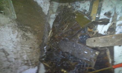 Technical Perfect Pest Control Services - Pest Control in Narayanaguda, Hyderabad