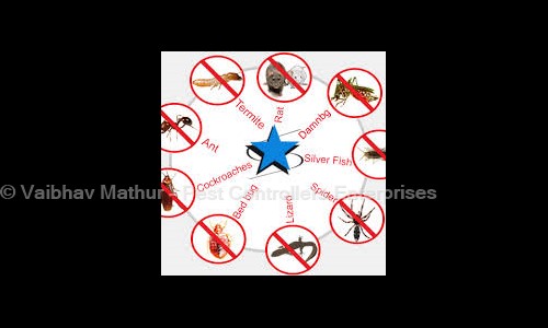 Vaibhav Mathur - Pest Controllers Enterprises - Pest Control in Agra Road, Aligarh