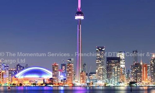 The Momentum Services - Franchise of DTDC Courier & Cargo Ltd. - Packers and Movers in Sector 63, Noida
