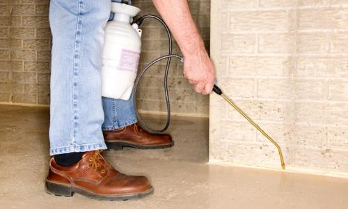 Esskay Pest Control Services - Pest Control in Uppal, Hyderabad