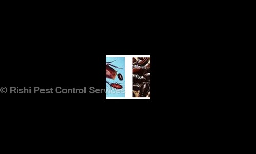 Rishi Pest Control Services - Pest Control in Mannady, Chennai