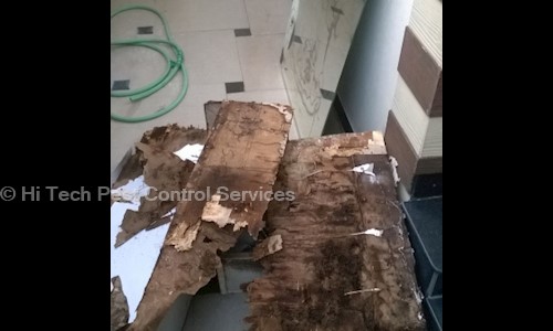 Hi Tech Pest Control Services - Pest Control in New Mondha, Nanded