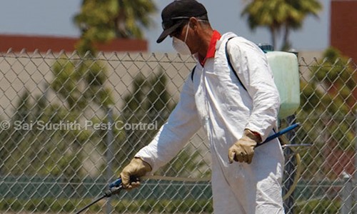 Sai Suchith Pest Control - Pest Control in Peenya, Bangalore