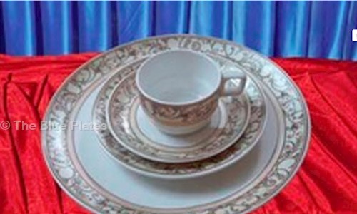 The Blue Plates - Catering Services in Dwarka, Delhi