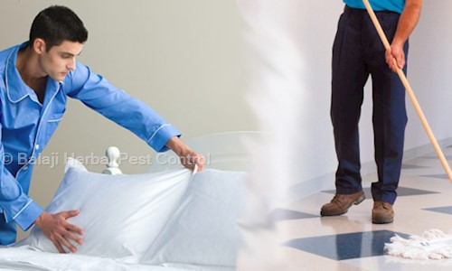 Balaji Herbal Pest Control - Pest Control in Pathardi Road, Nashik