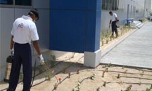 Hitech Pest Control Services - Pest Control in Jayanagar, Bangalore