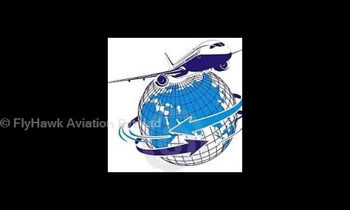 FlyHawk Aviation Pvt. Ltd. - Packers and Movers in Gunadala, Vijayawada