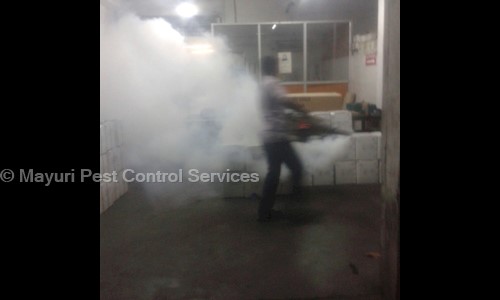 Mayuri Pest Control Services - Pest Control in BHEL, Hyderabad